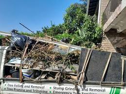 Best Residential Junk Removal  in De Motte, IN