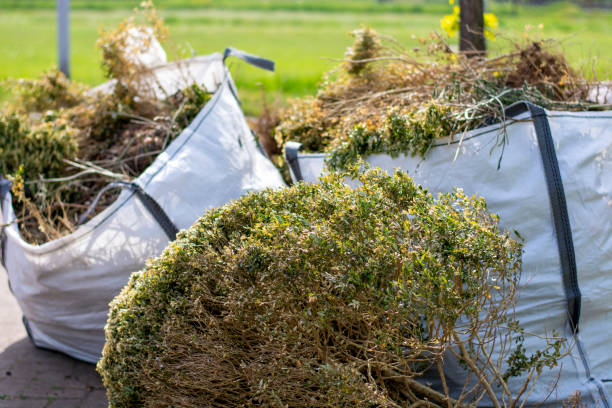 Best Recycling Services for Junk  in De Motte, IN